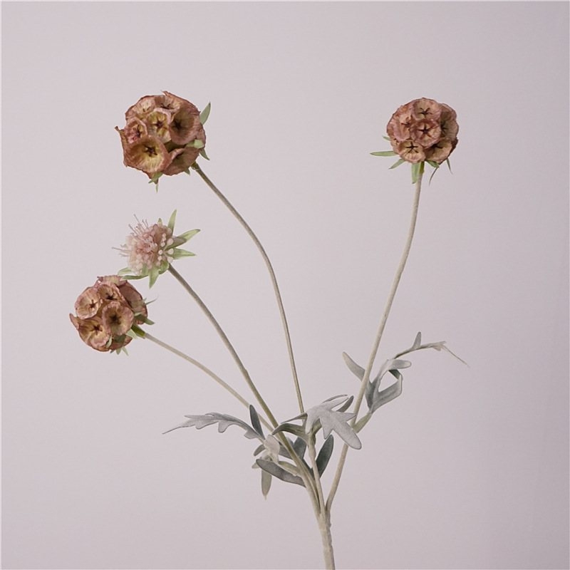 Artificial Scabiosa Stellata