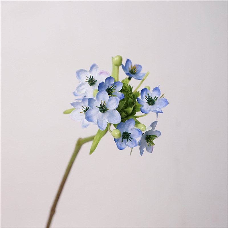Simulated Ornithogalum thyrsoides