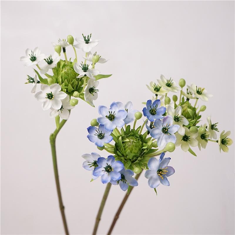 Simulated Ornithogalum thyrsoides