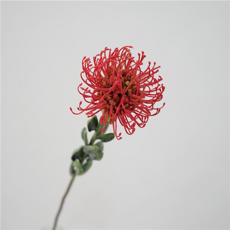Simluated Pincushion Flower
