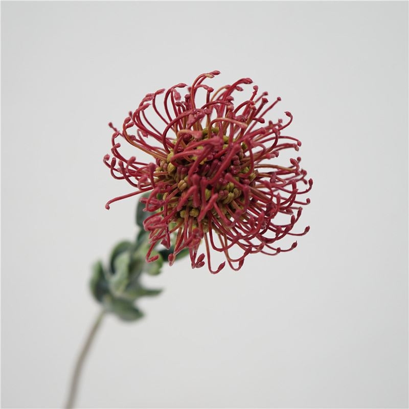Simluated Pincushion Flower
