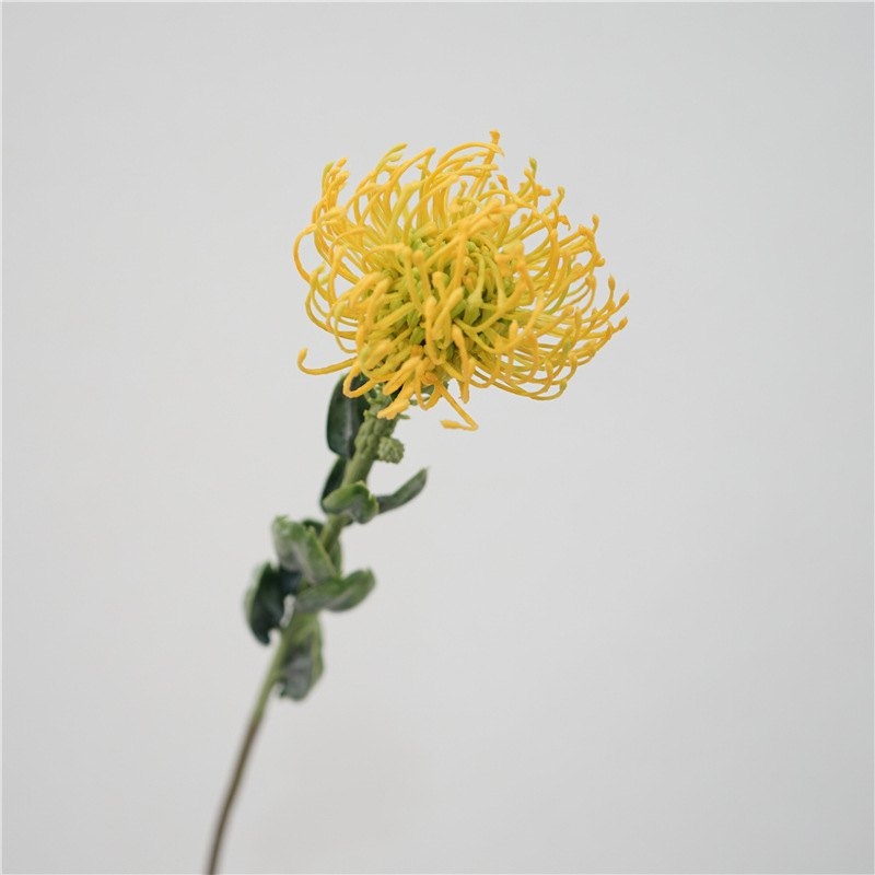 Simluated Pincushion Flower