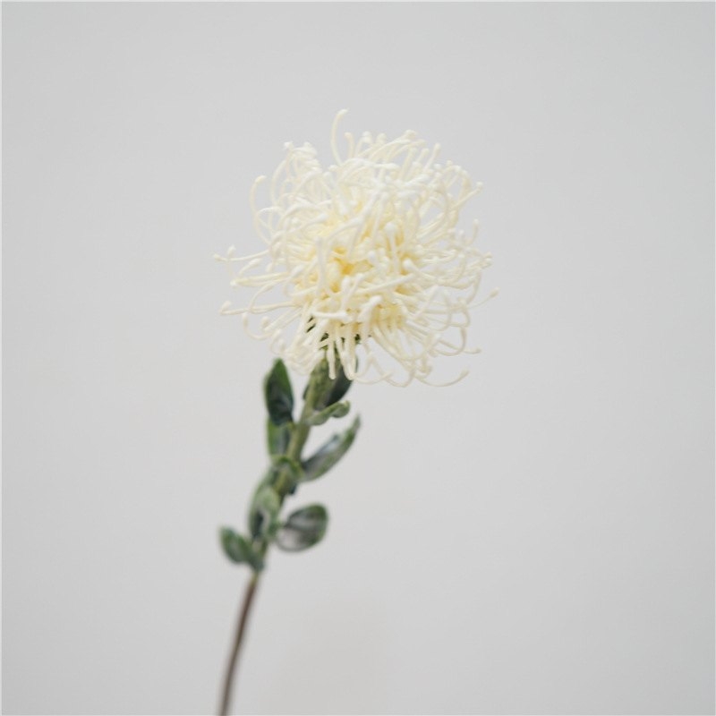 Simluated Pincushion Flower