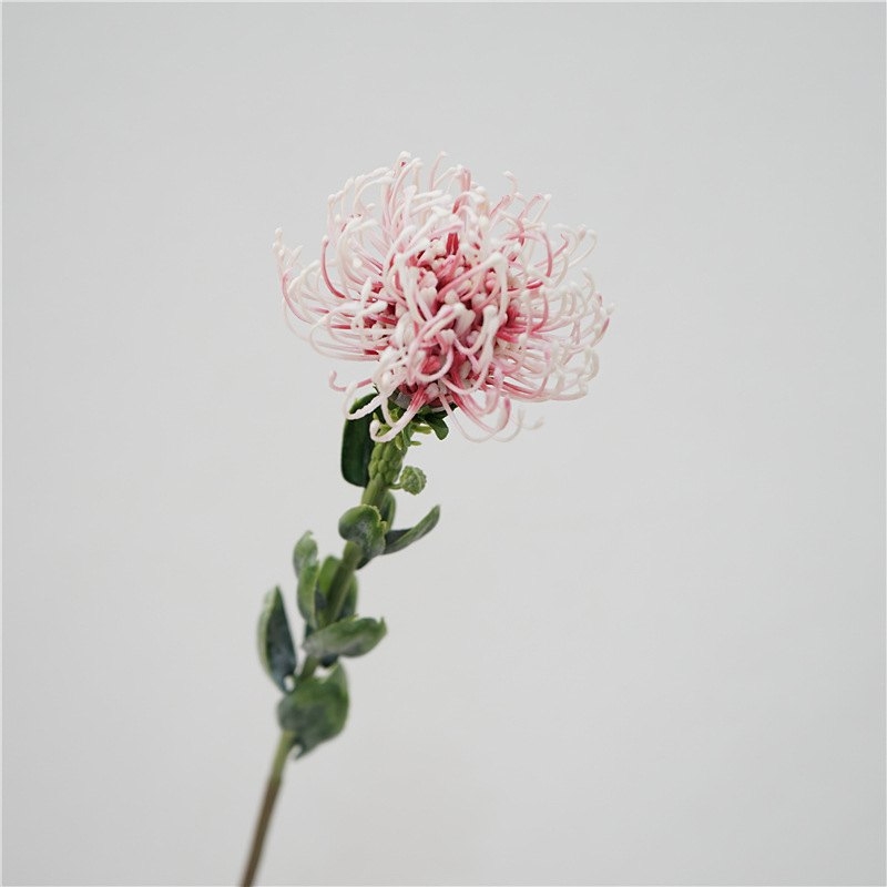Simluated Pincushion Flower