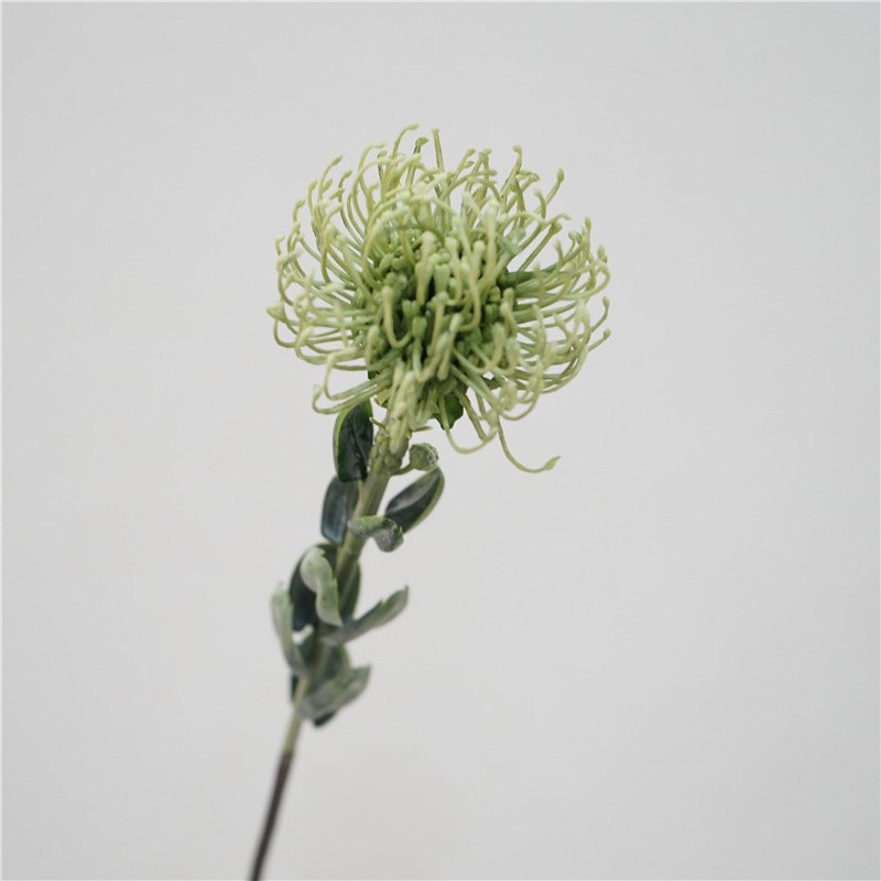 Simluated Pincushion Flower
