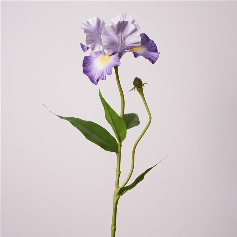 Simulated Iris