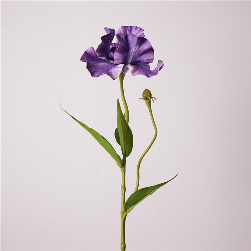 Simulated Iris