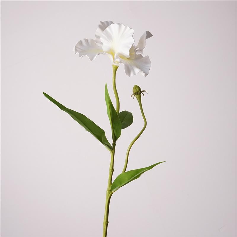 Simulated Iris