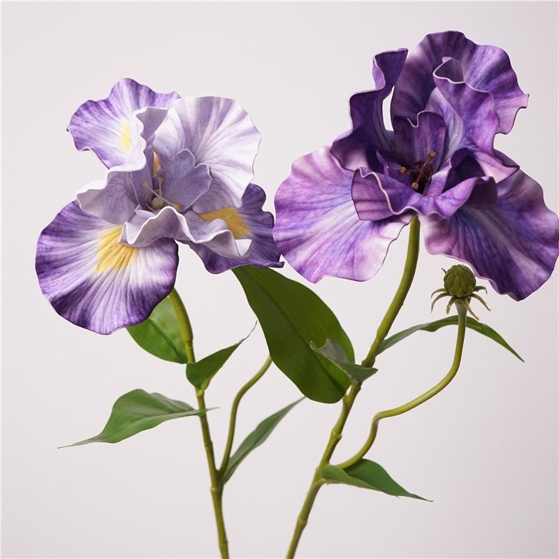 Simulated Iris