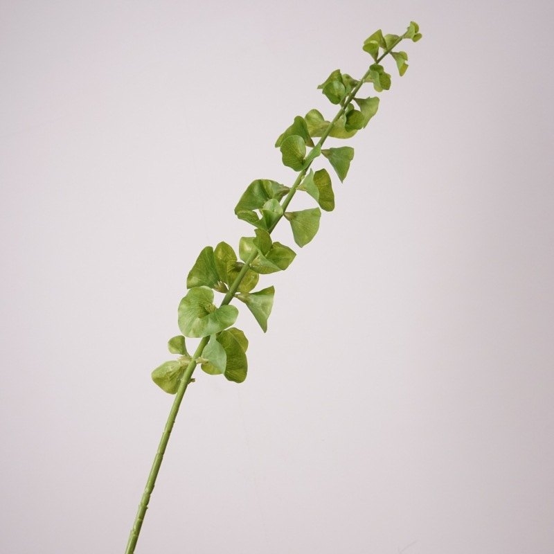 Artificial Moluccella Laevis