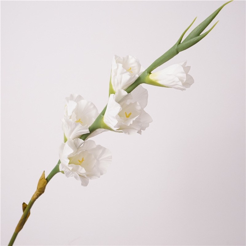 Hand-feeling moisturizing simulated gladiolus