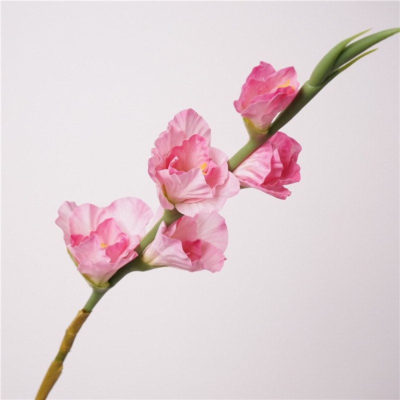 Hand-feeling moisturizing simulated gladiolus