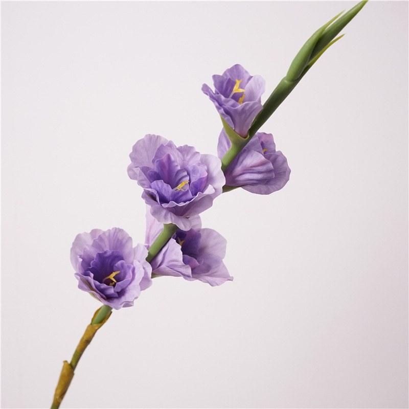 Hand-feeling moisturizing simulated gladiolus
