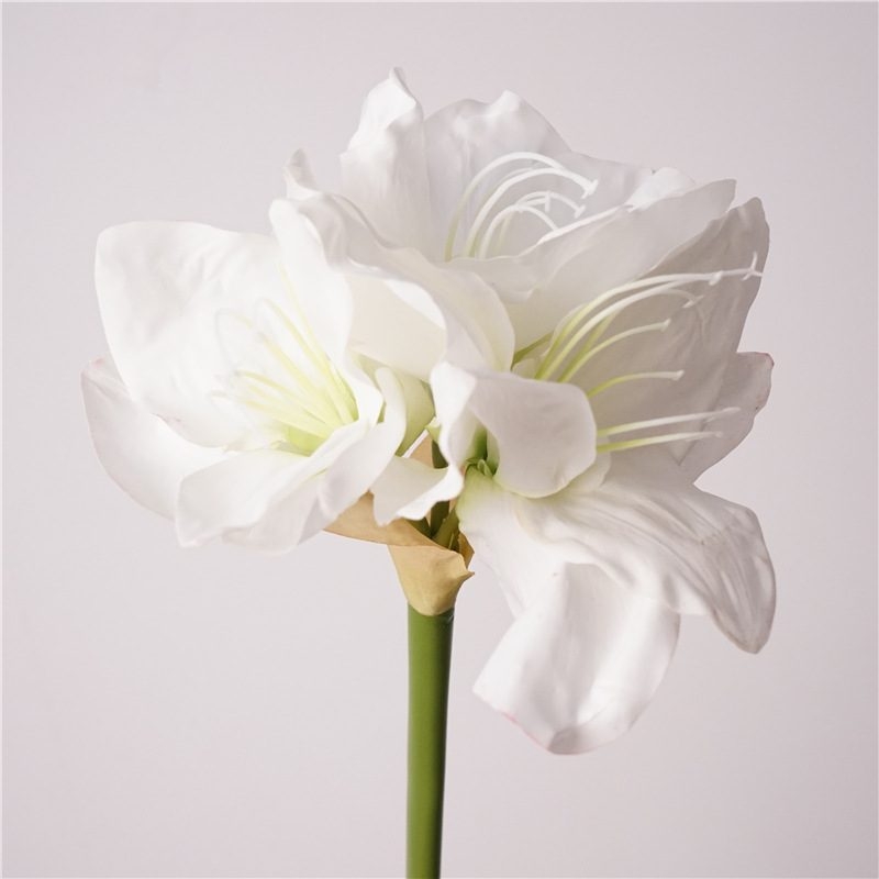 Artificial Clivia