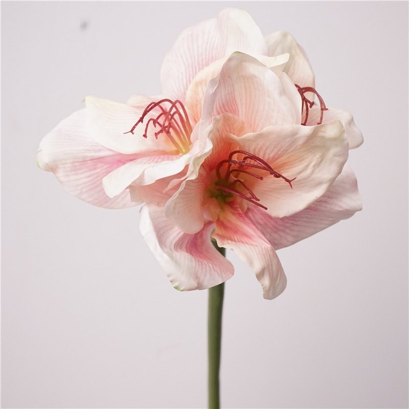 Artificial Clivia