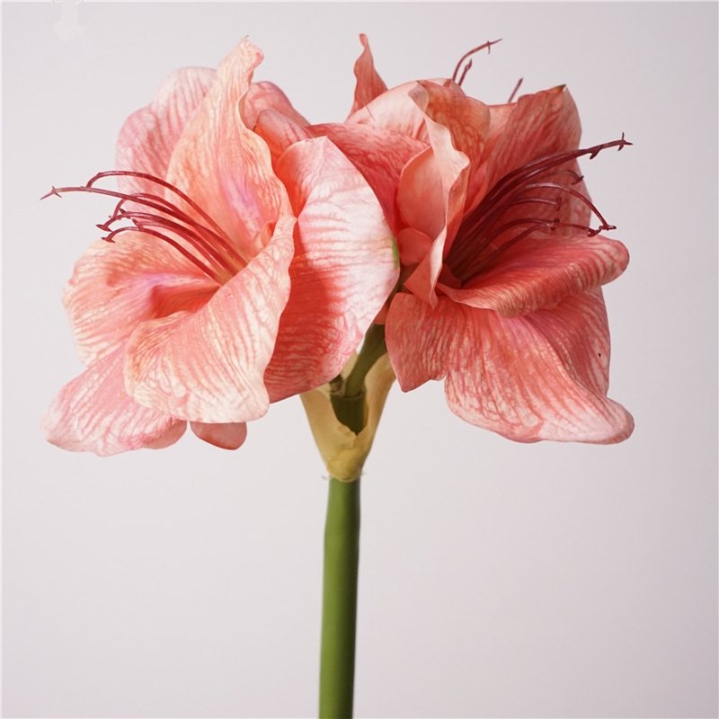 Artificial Clivia