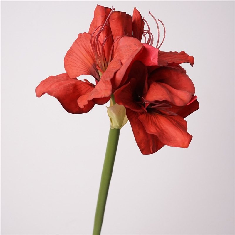 Artificial Clivia