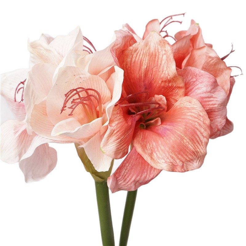 Artificial Clivia