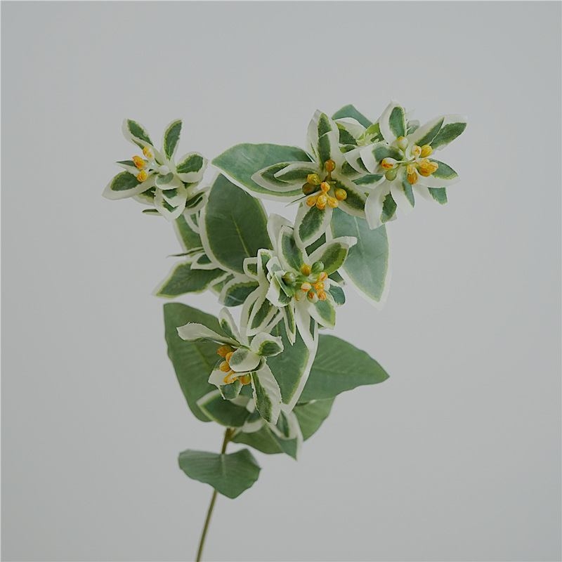 Artificial Euphorbia marginata