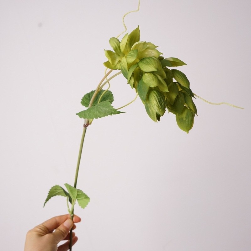 Artificial Humulus Lupulus
