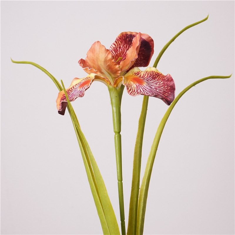 Artificial Iris Wholesale