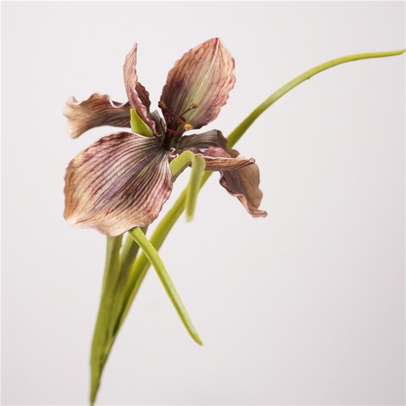 Artificial Iris Wholesale