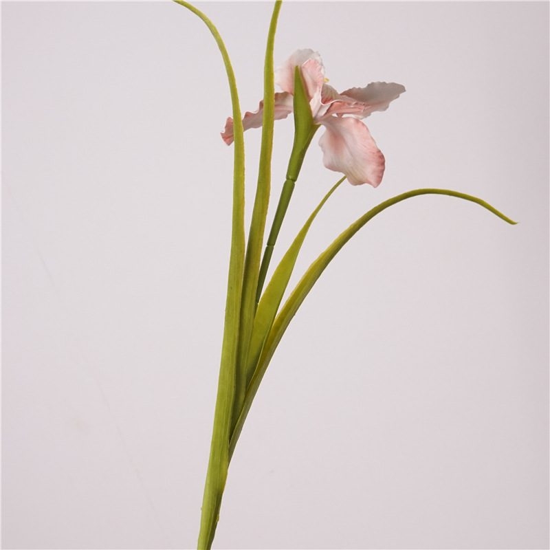 Artificial Iris Wholesale