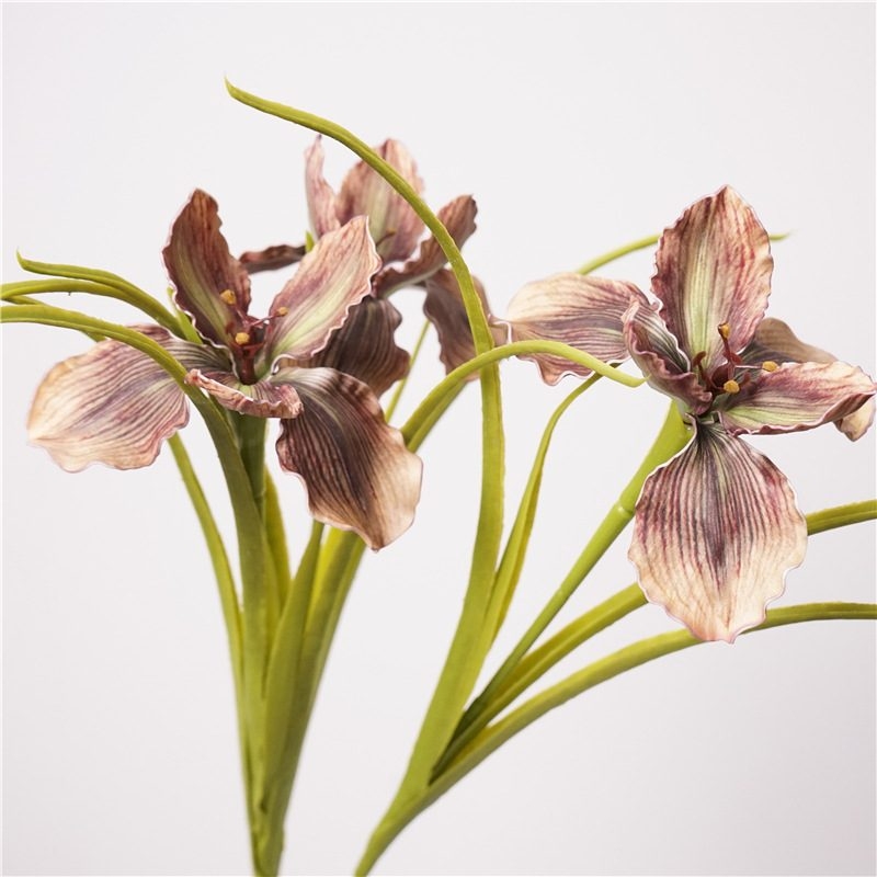Artificial Iris Wholesale