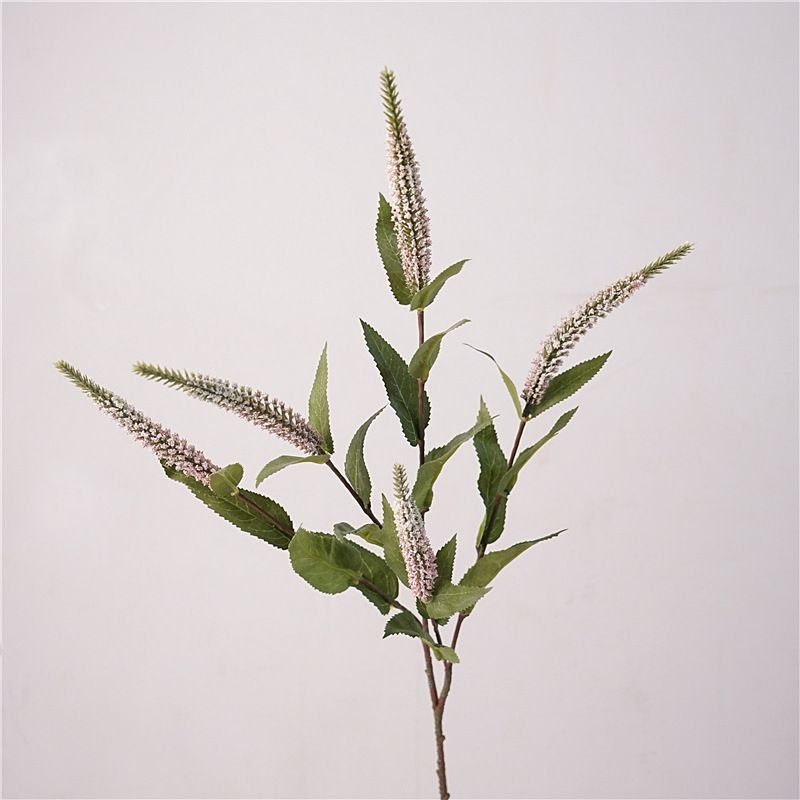 Simulated 5-forked sage