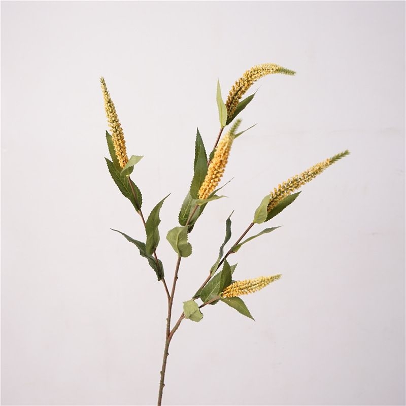 Simulated 5-forked sage