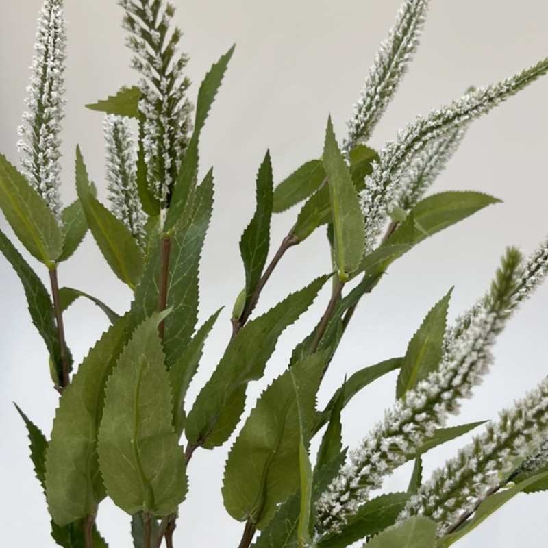 Simulated 5-forked sage