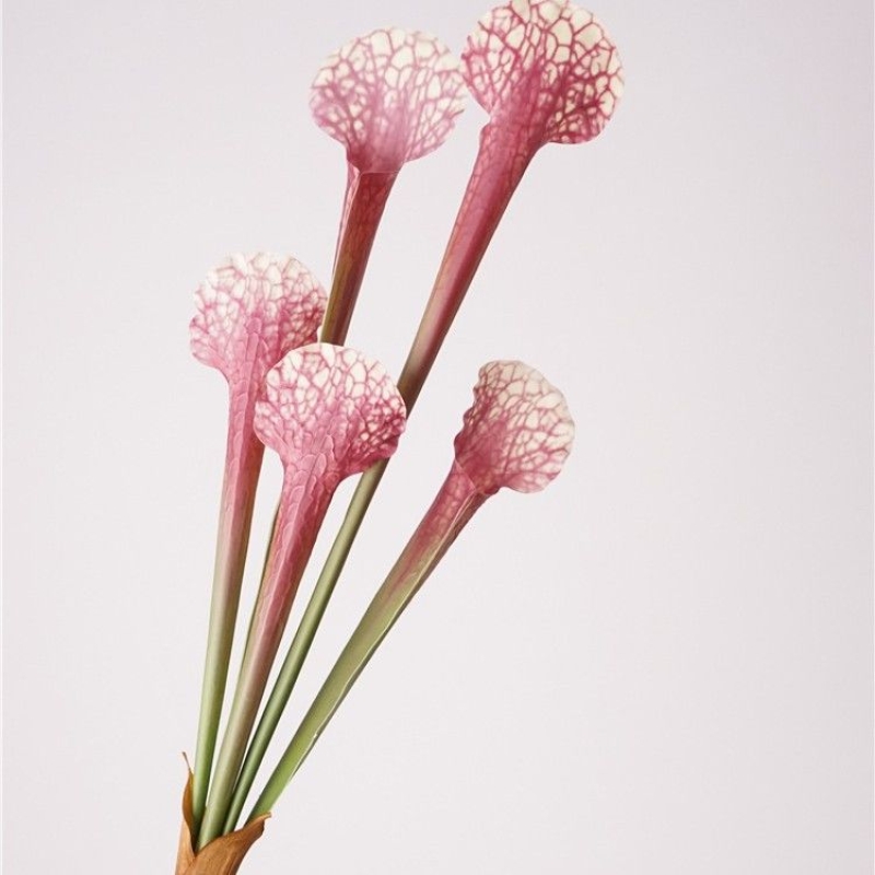 Artificial Cobra Lily