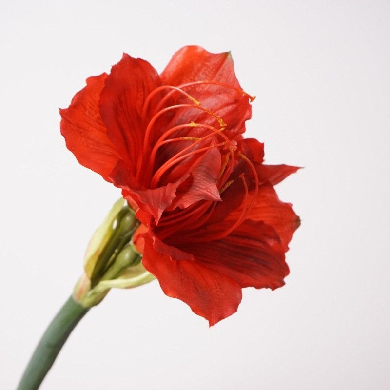 Artificial Amaryllis