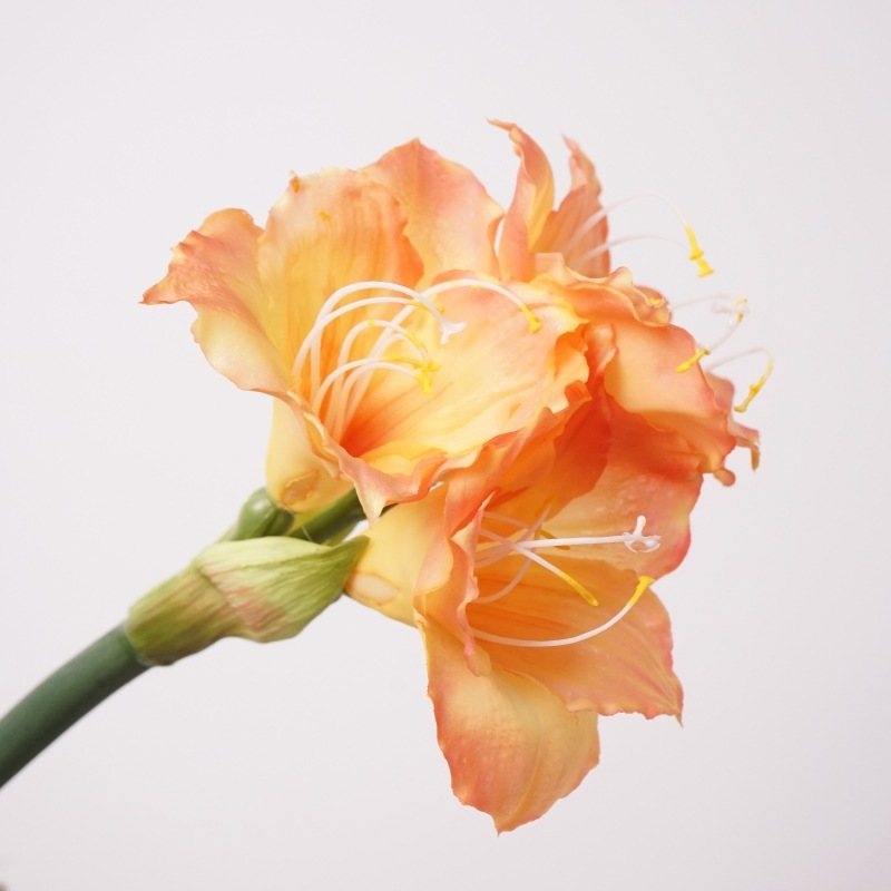 Artificial Amaryllis