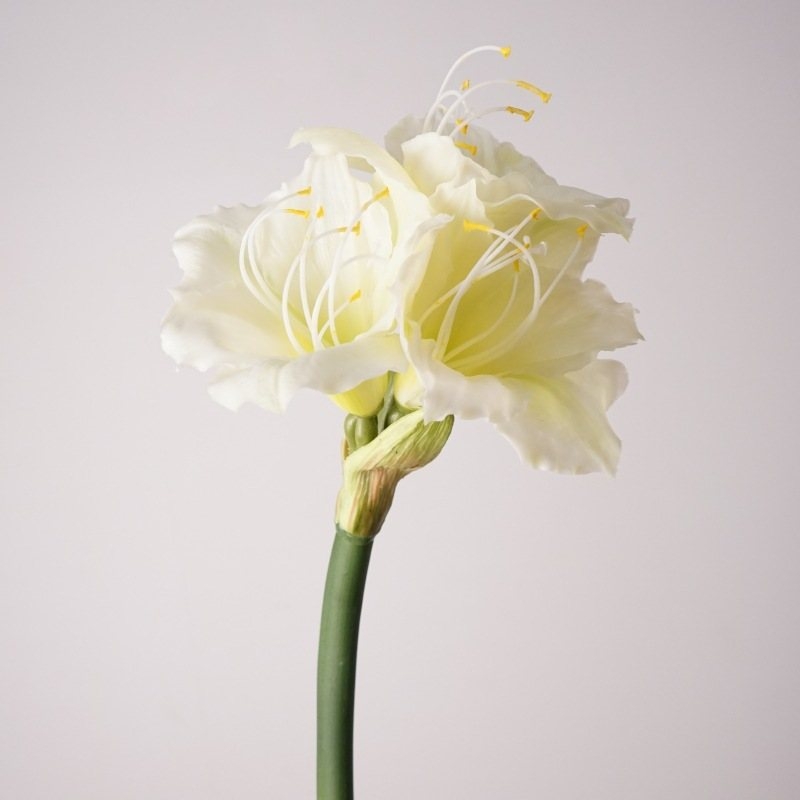 Artificial Amaryllis