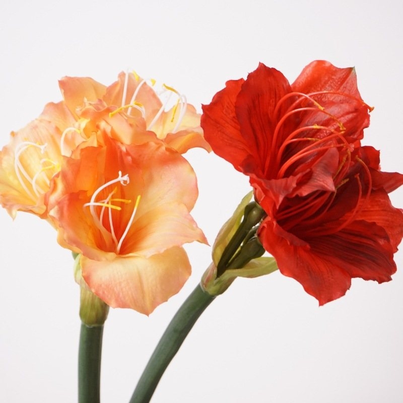 Artificial Amaryllis