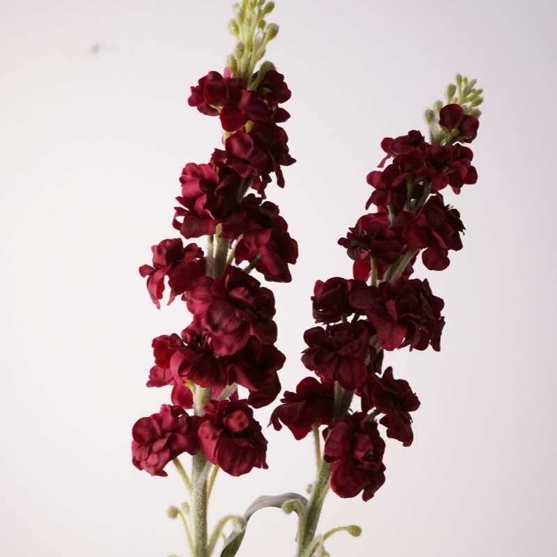 Simulated Violet