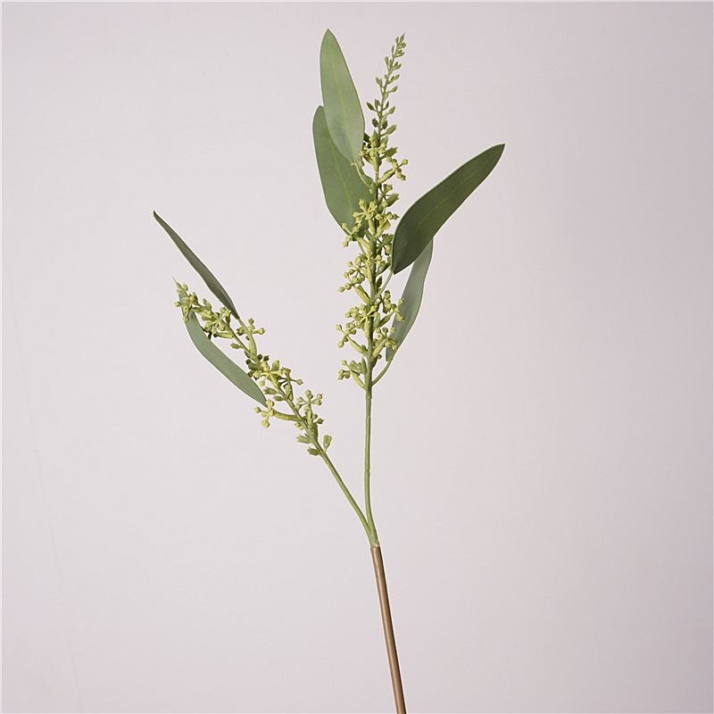 Eucalyptus with simulated two tree branches