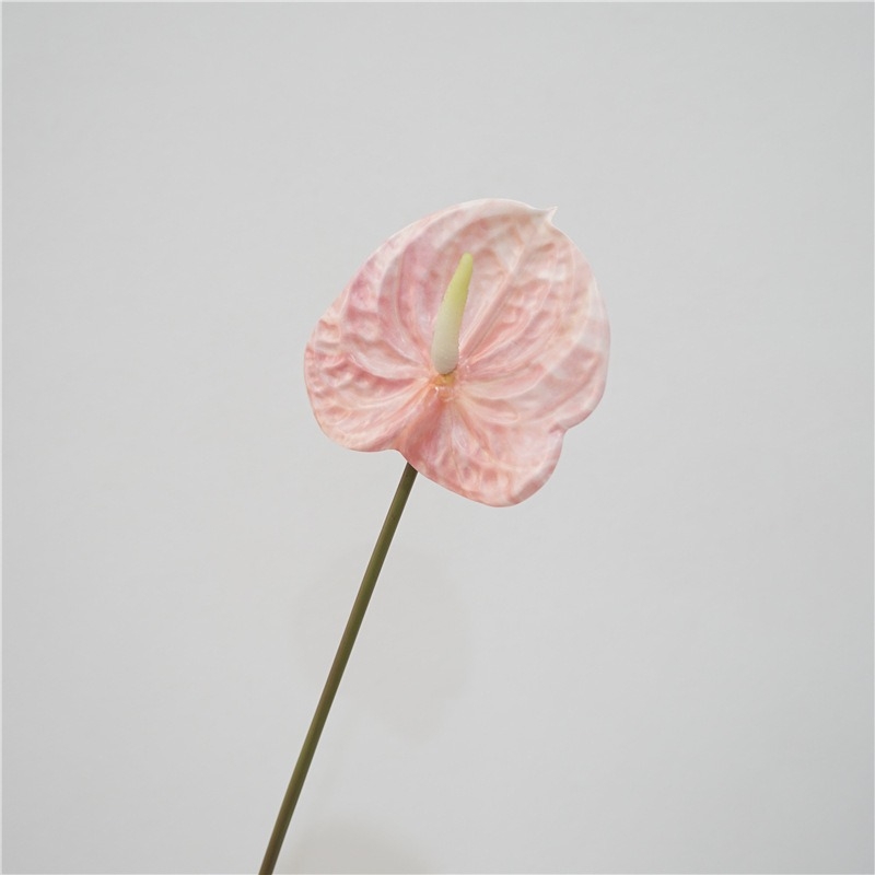 Multi-colored artificial anthurium