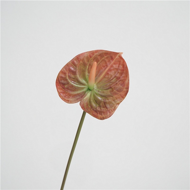 Multi-colored artificial anthurium