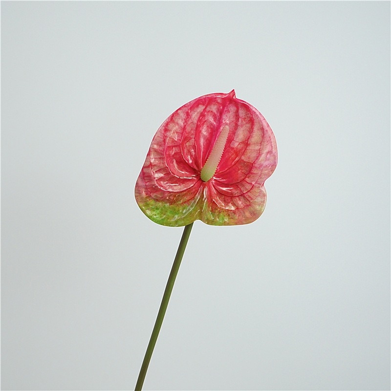Multi-colored artificial anthurium