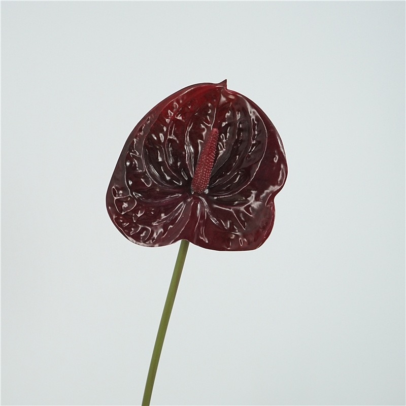 Multi-colored artificial anthurium