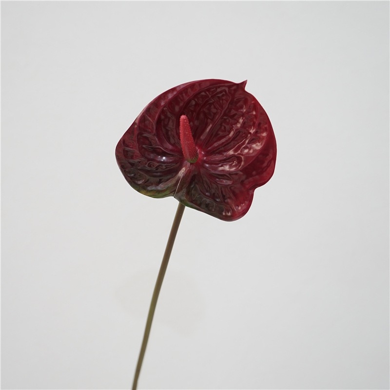 Multi-colored artificial anthurium