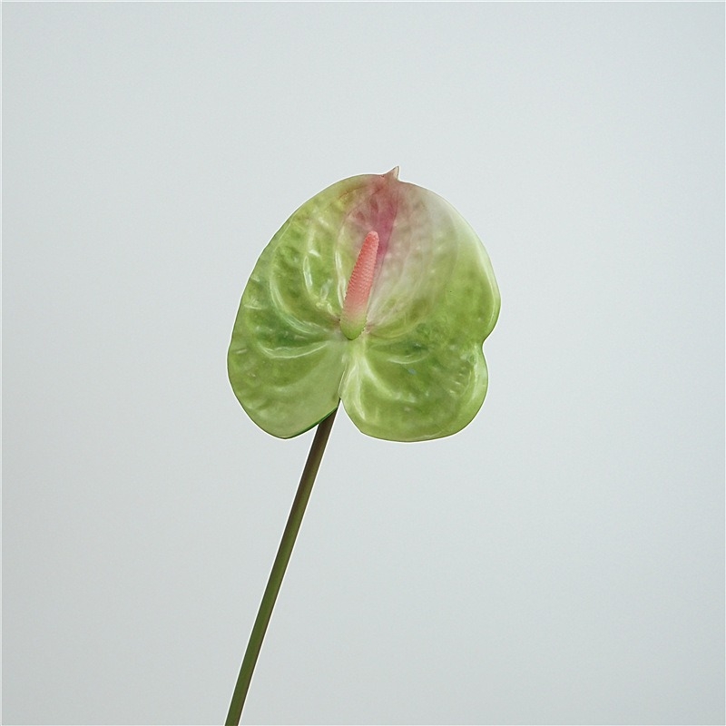 Multi-colored artificial anthurium