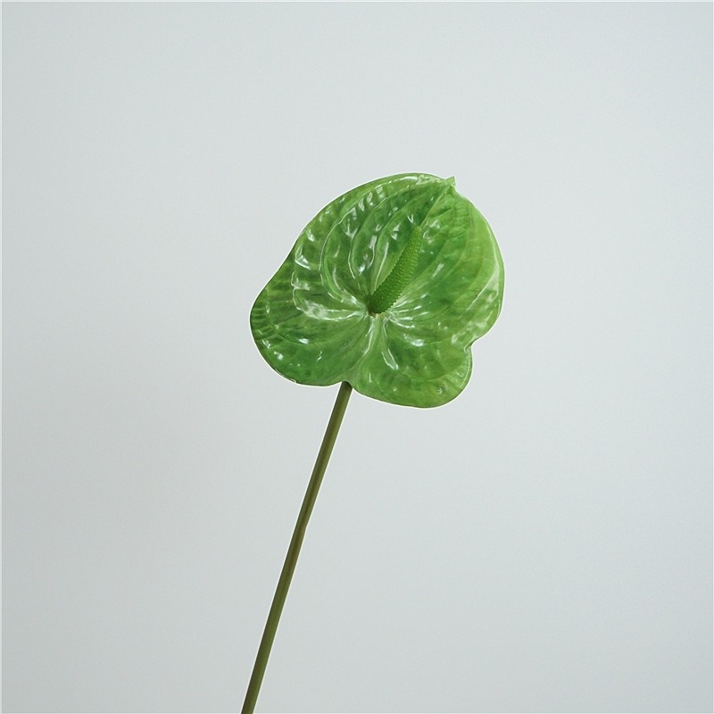 Multi-colored artificial anthurium