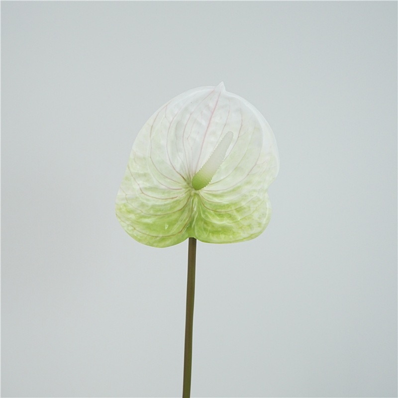Multi-colored artificial anthurium