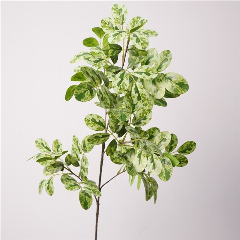 Simulated broad bean leaves