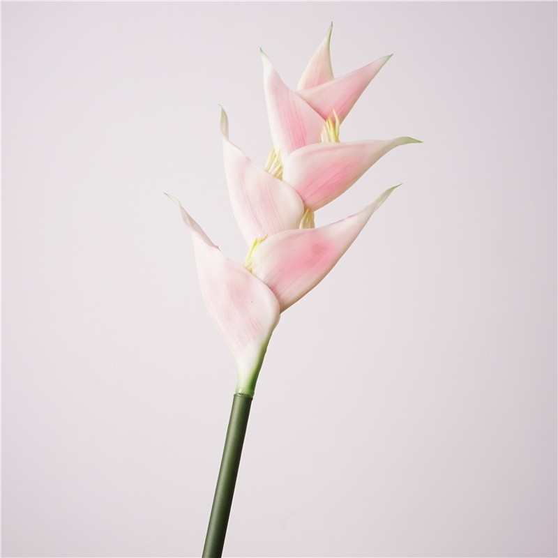 Simulated Heliconia