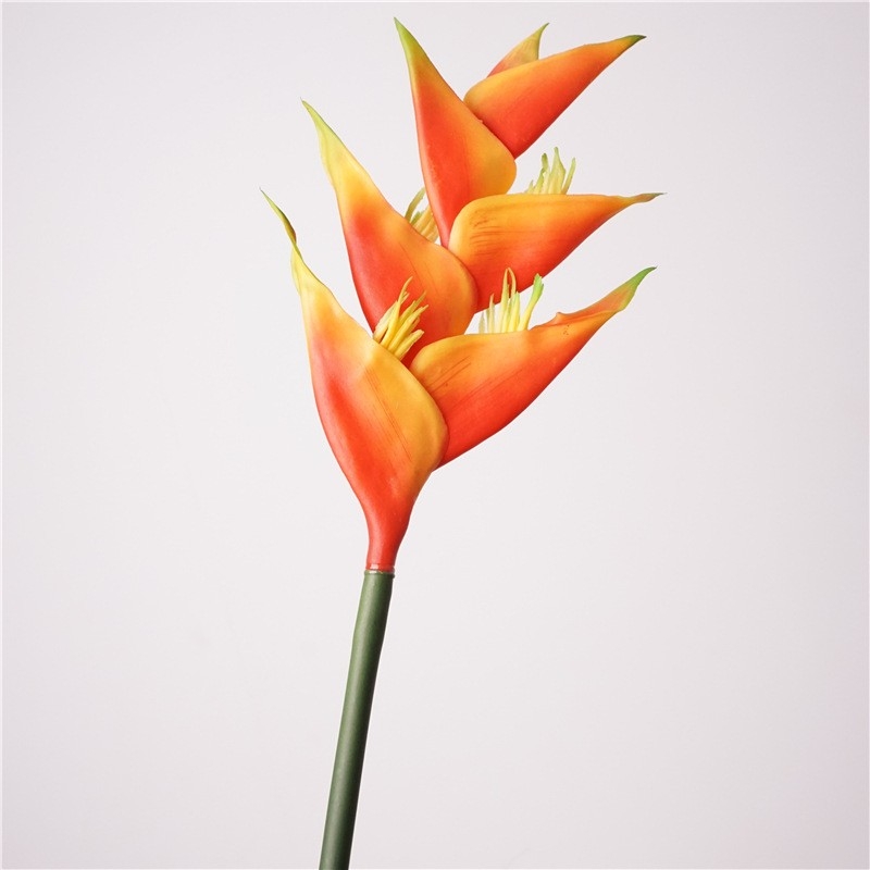 Simulated Heliconia