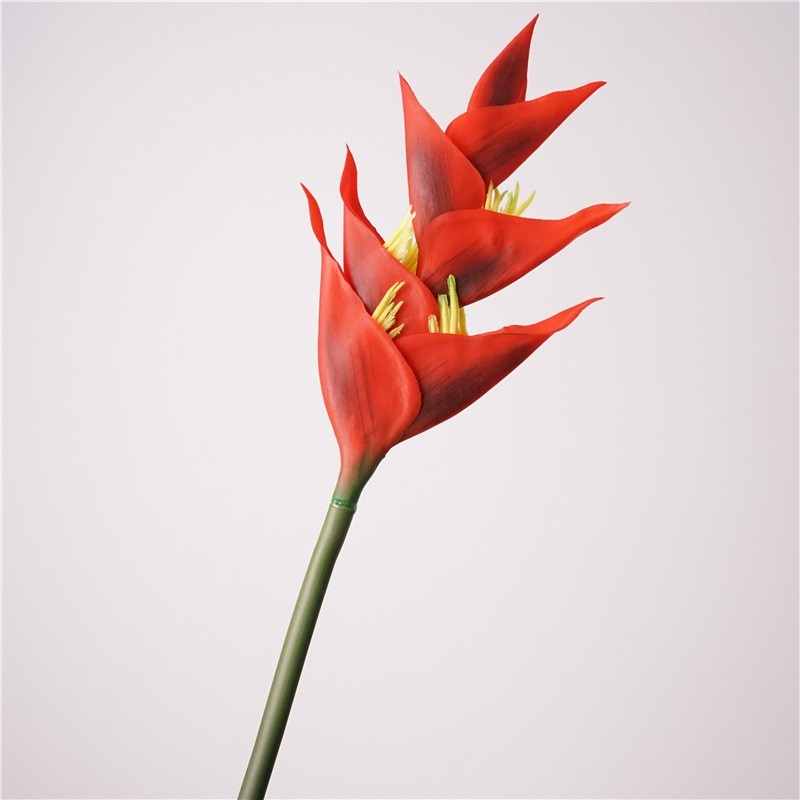 Simulated Heliconia